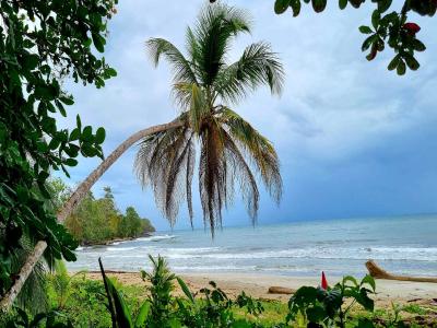 Costa Rica – Pura Vida