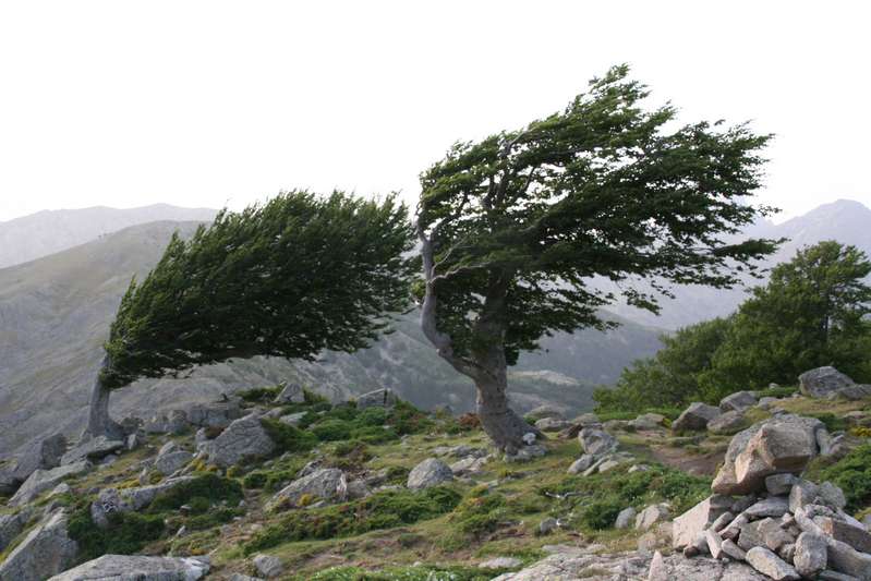 Corse – GR20 Nord Sud