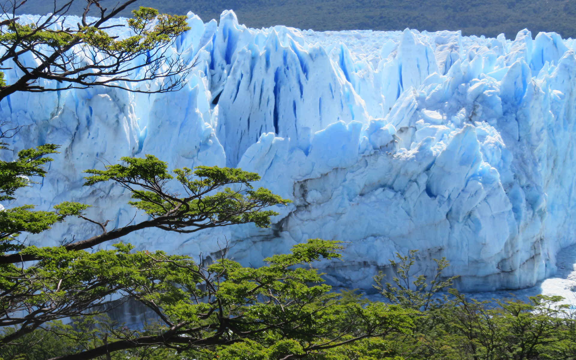 Patagonie