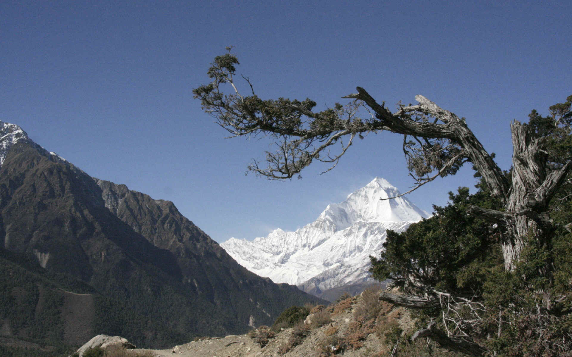 High Kharka - Jomosom