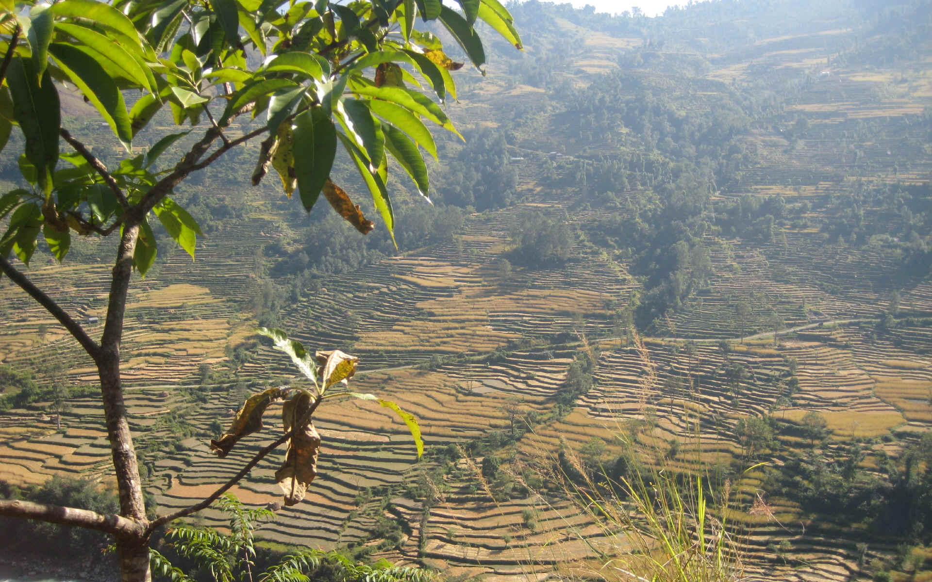 Beni - Pokhara
