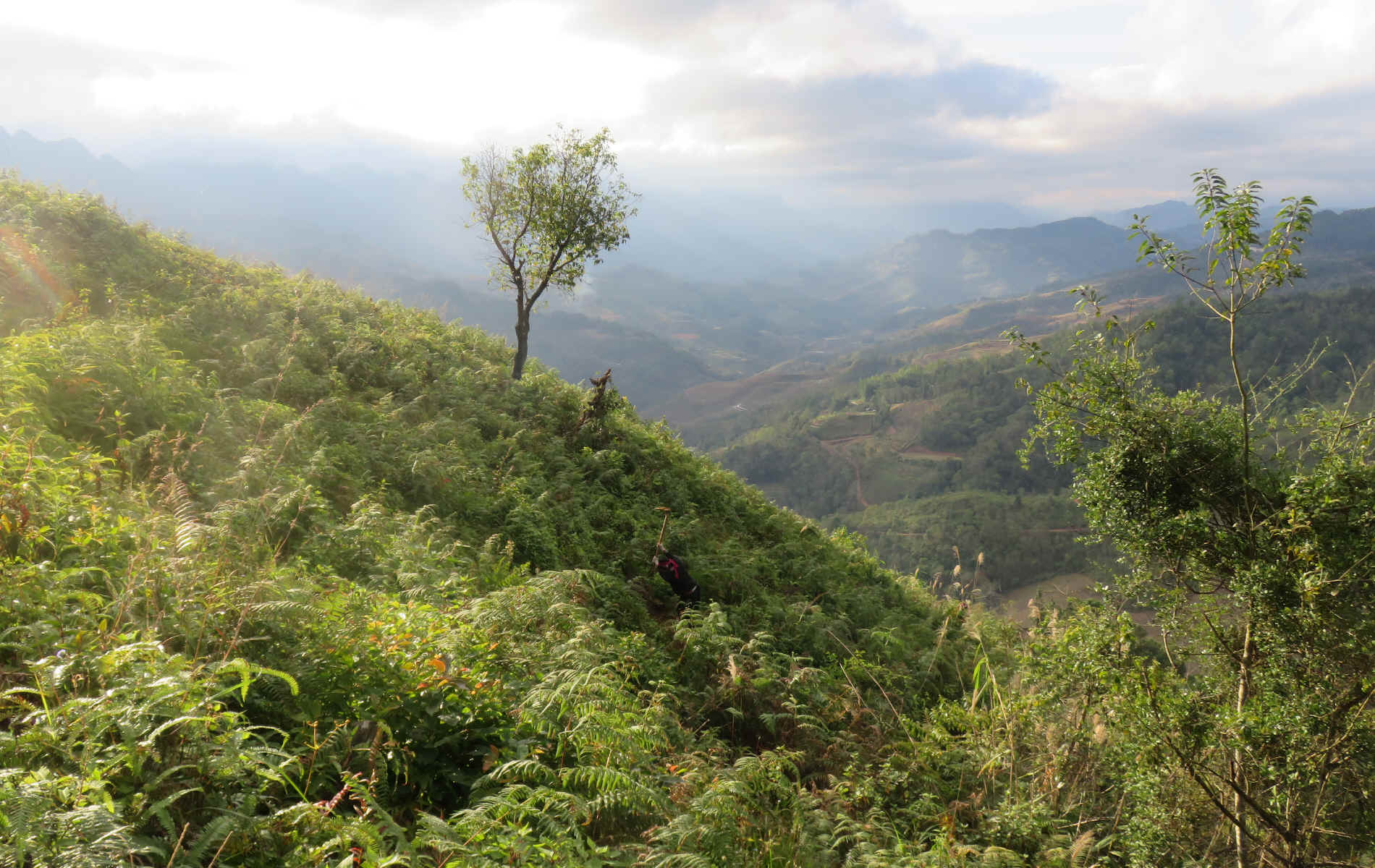 Ha Giang
